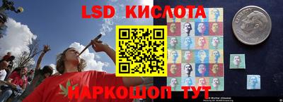 трава Сланцы