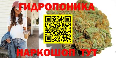 Альфа ПВП Славянск-на-Кубани