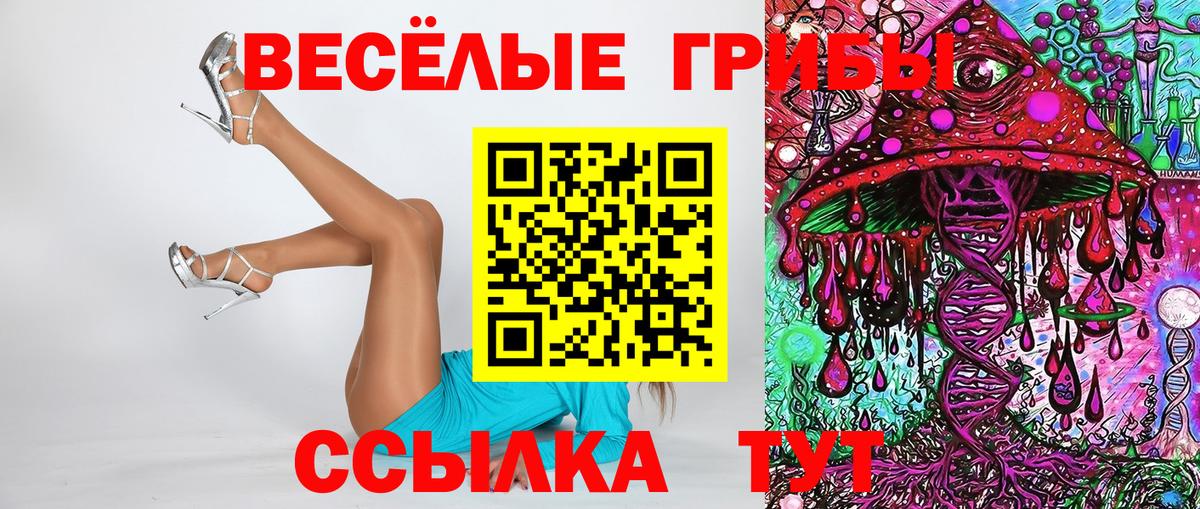 Псилоцибиновые грибы Cubensis Норильск